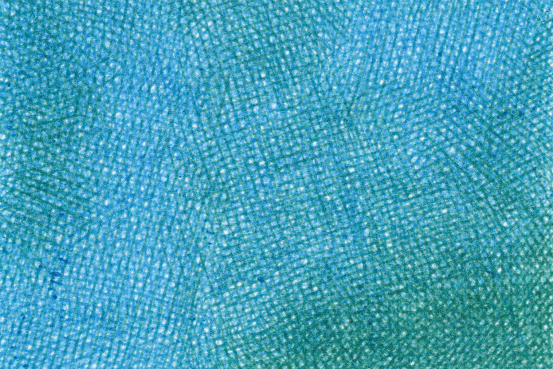 Source VIII, 2024 – BIC ballpoint pens on paper – 15x15 cm - Inès de Chefdebien